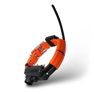 Dog Trace X30TB collare aggiuntivo