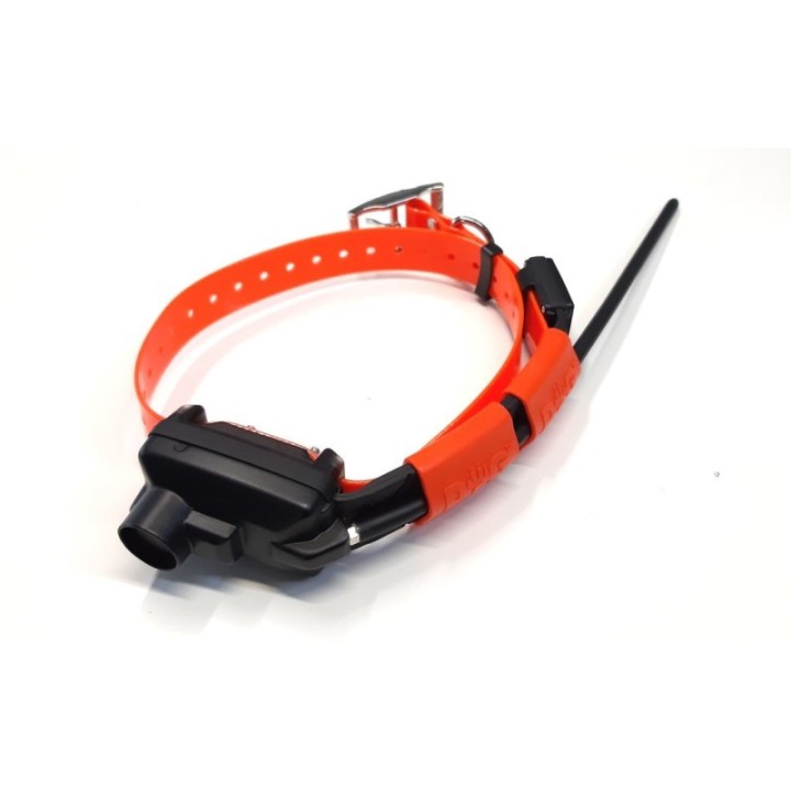 Dog Trace X30B Kit