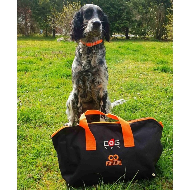 Dog Trace X30B Kit