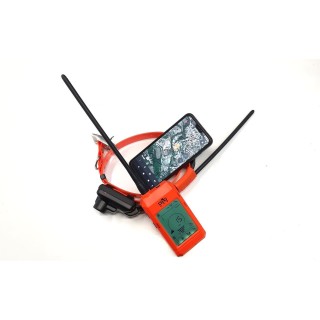 Dog Trace X30B Kit