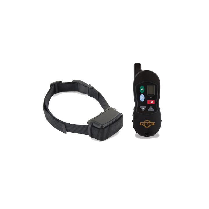 Trainer VT-100