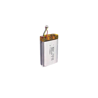 Batteria Ricaricabile per Telecomando palmare Tek 1.0/1.5 SportDOG