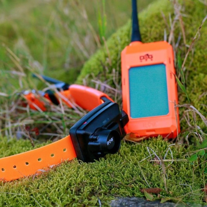 Dogtrace DOG GPS X25B Kit
