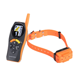 Collare educativo CANICOM R-500