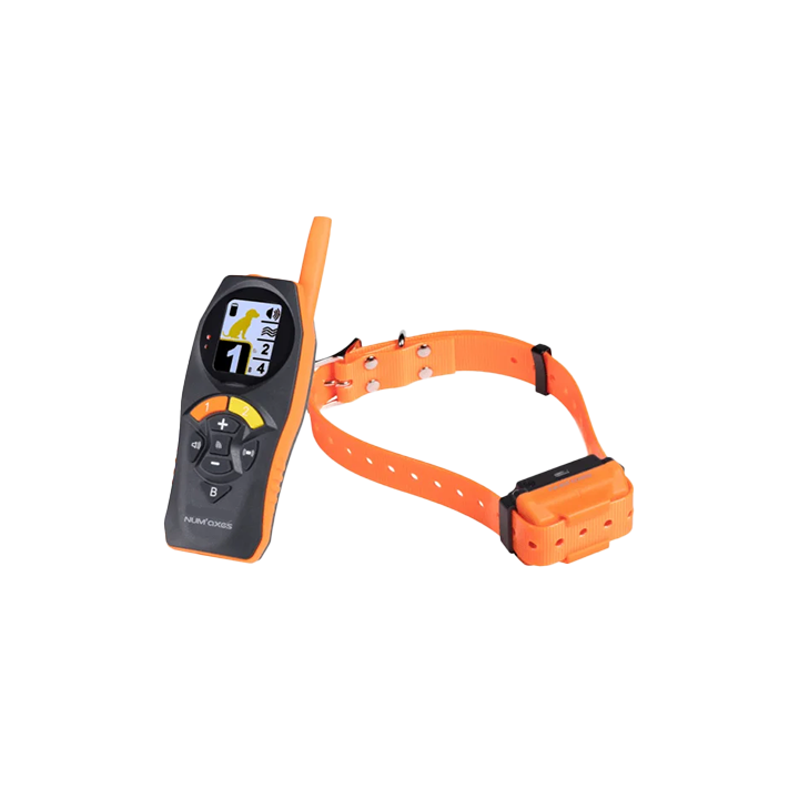 Collare educativo CANICOM R-500