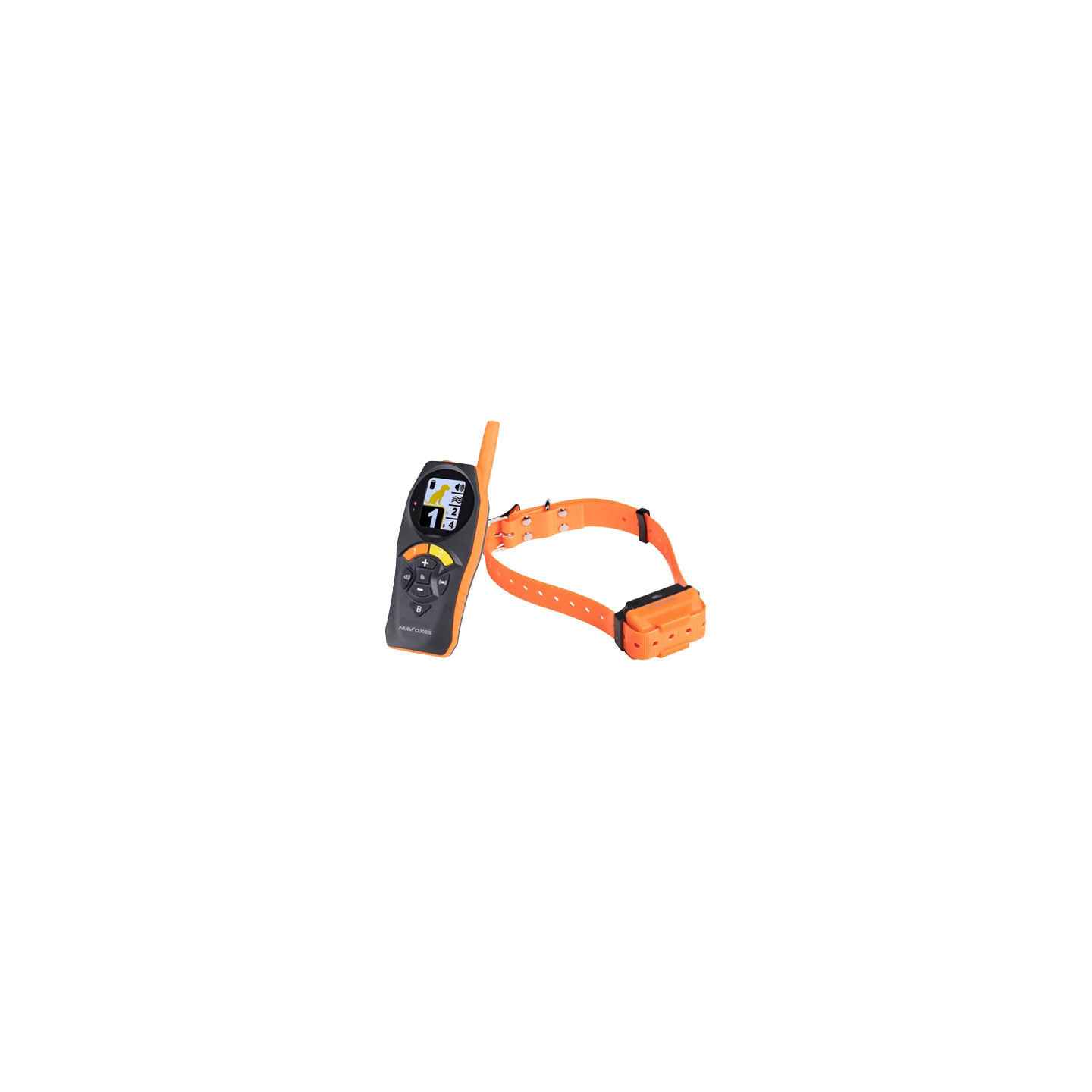 Collare Per Cani Con Telecomando Wintem 1000mt: Addestramento Efficace E Sicuro!
