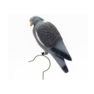 Colombaccio in plastica appollaiato