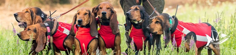 Gilet protettivi per cani in kevlar indispensabili per la sicurezza