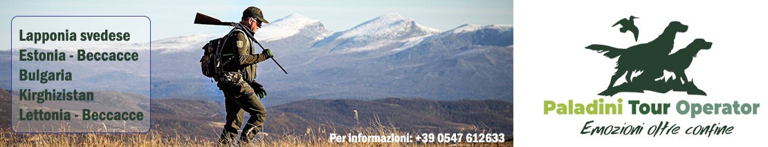 paladini Tour operator